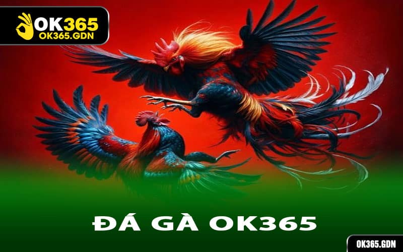 Đá Gà Ok365