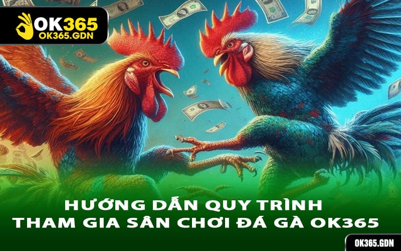 Hướng dẫn quy trình tham gia sân chơi đá gà Ok365
