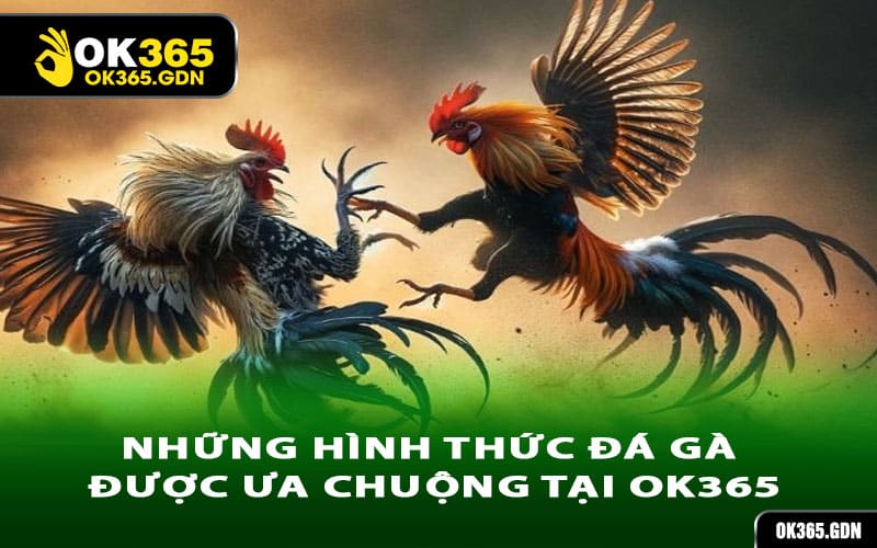 Những hình thức đá gà được ưa chuộng tại Ok365