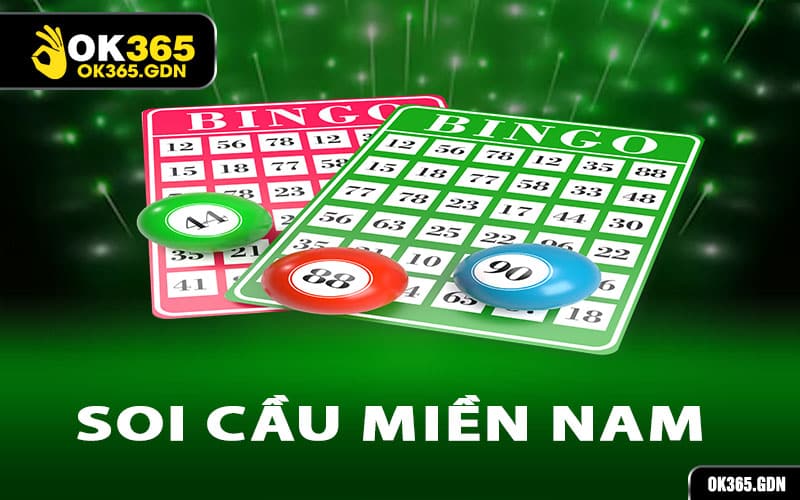 Soi Cầu Miền Nam