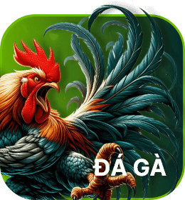 đá gà ok365